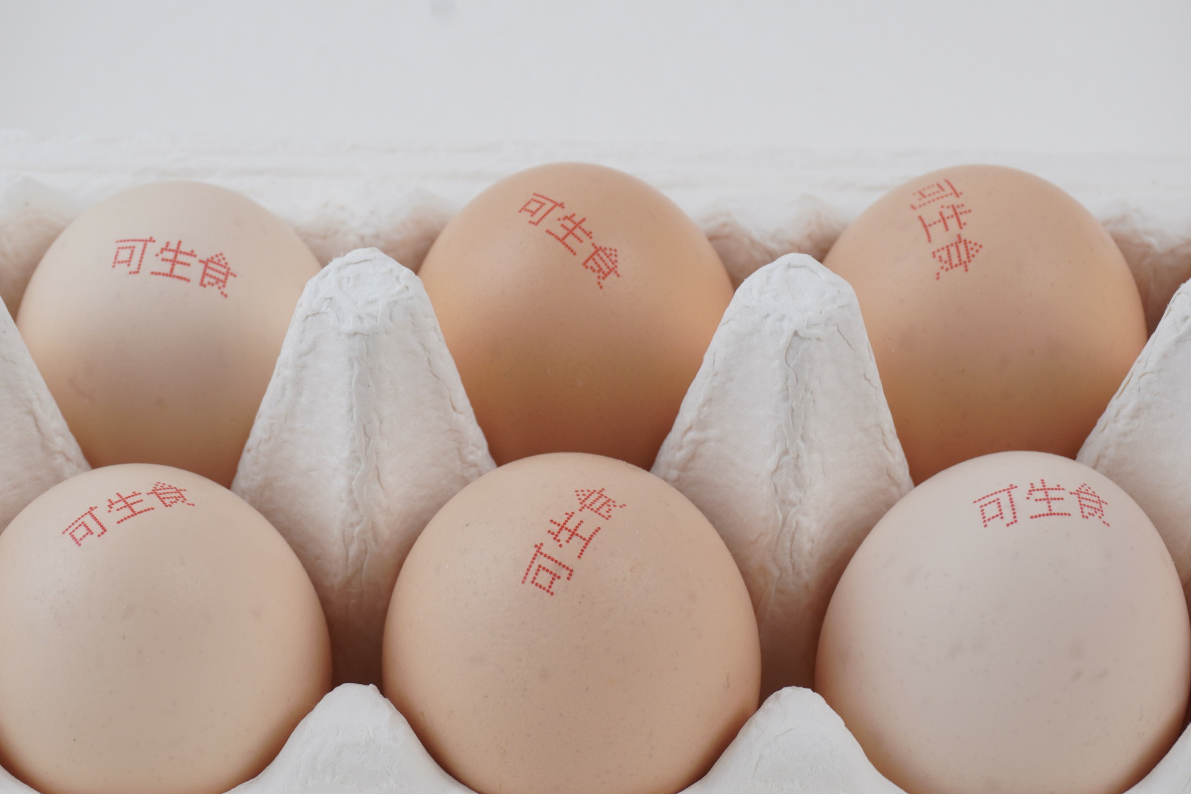 滚动打样照片15